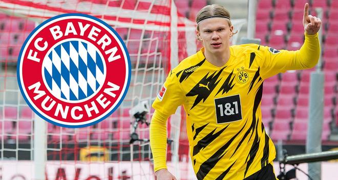 CBA最新消息！曝辽宁男篮裁掉布朗，徐昕迎来爆发